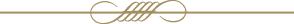 Dotted Separator